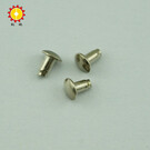 iron with nickel plating rivet